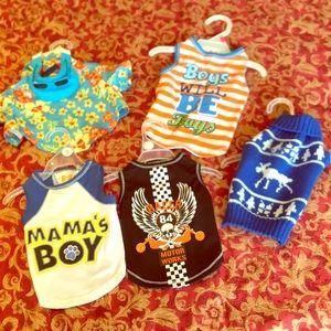 Dogs clothes all together bundle